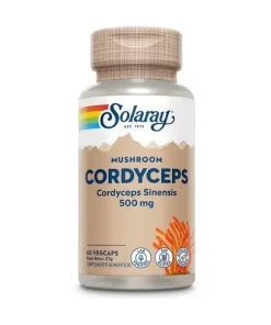 Cordyceps
